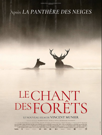LE CHANT DES FORÊTS