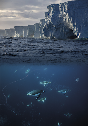 DOCUMENTAIRE SURPRISE !