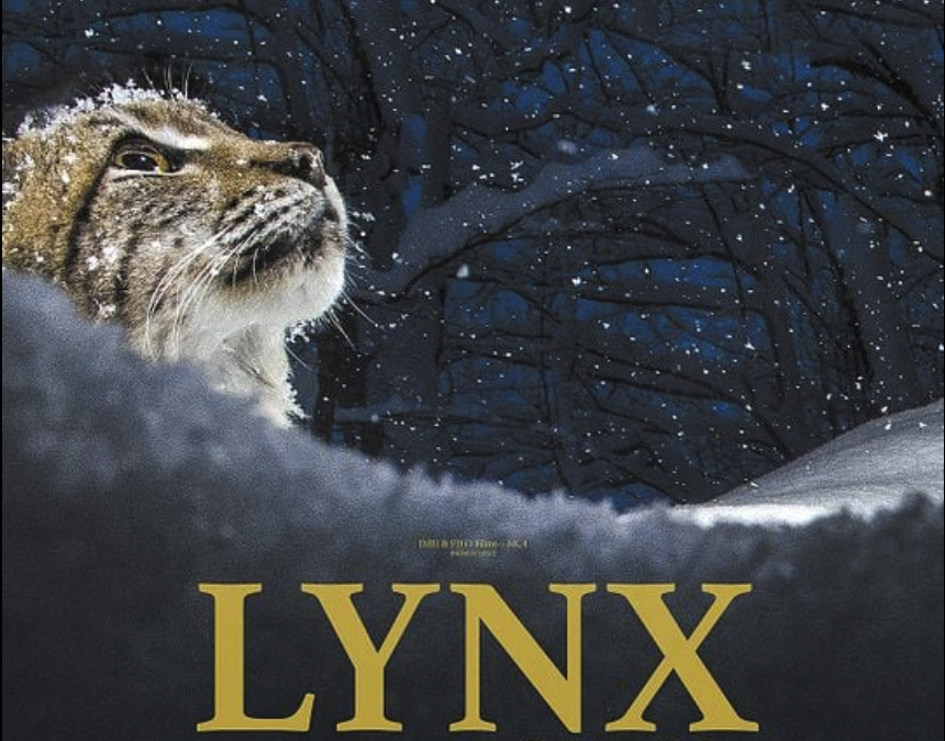 LYNX
