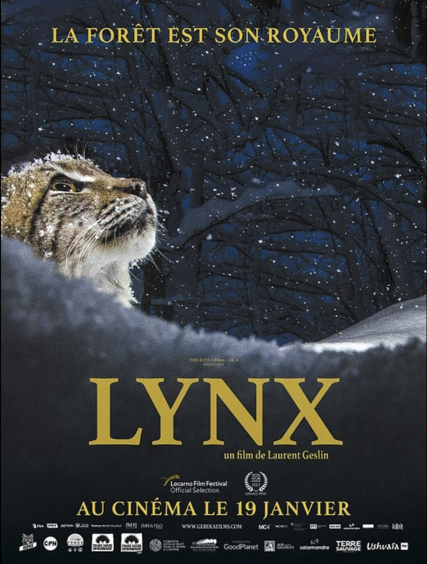 LYNX